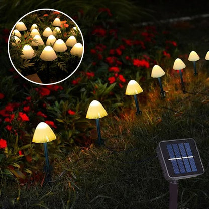 guirlande lumineuse extérieur solaire blanche plate-bande