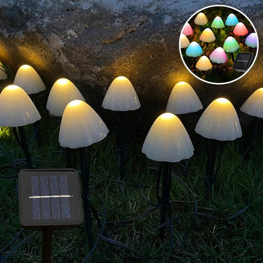 guirlande lumineuse extérieur blanche ou multicolore