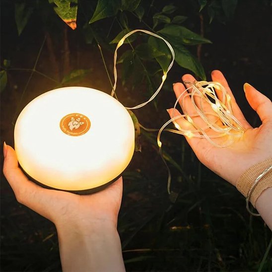 guirlande lumineuse 