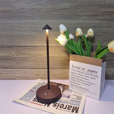 Lampe de chevet moderne et délicate